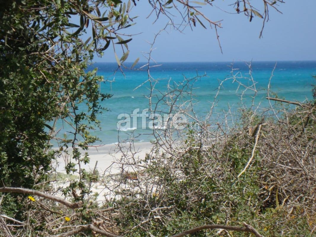 Terrain pour investir cote hammam elghezaz