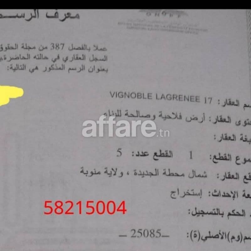 مناب للبيع .