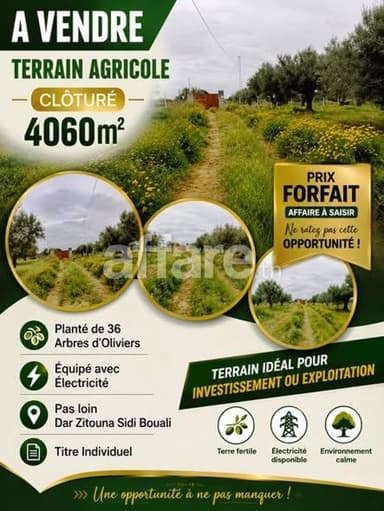 Terrain Agricole 4060m² Pas loin Dar Zitouna Sidi Bouali