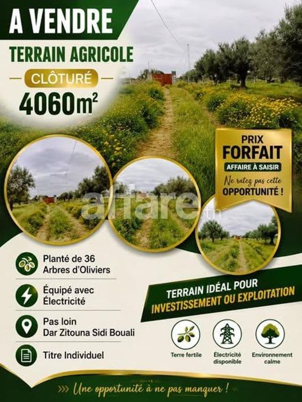 Terrain Agricole 4060m² Pas loin Dar Zitouna Sidi Bouali