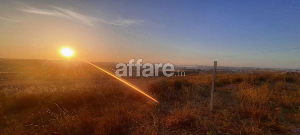 Terrain agricole 1000 m² à vendre El Mohamedia Ben Arous
