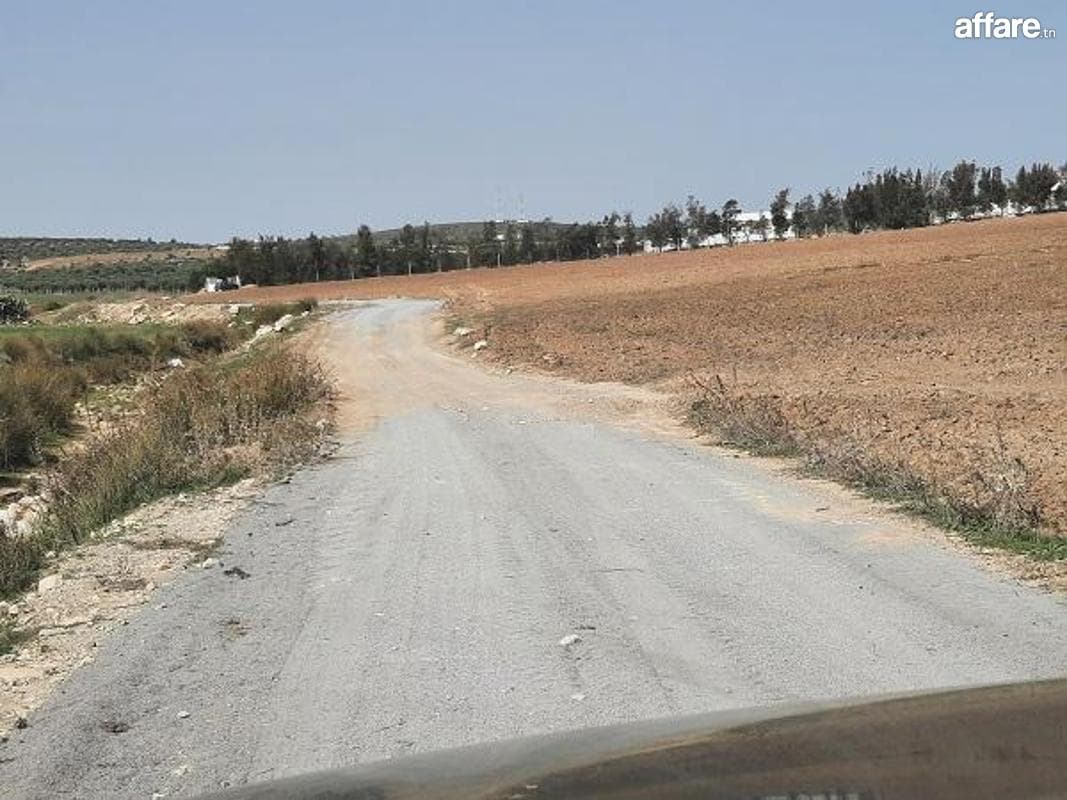 des lots Agricole de 01 Ha