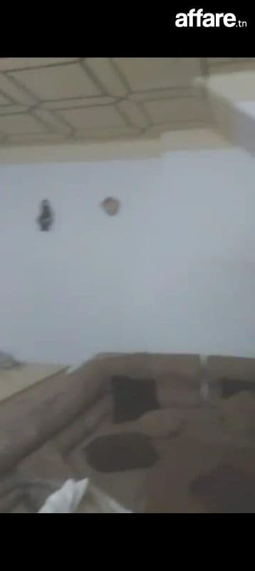 appartement 100 m