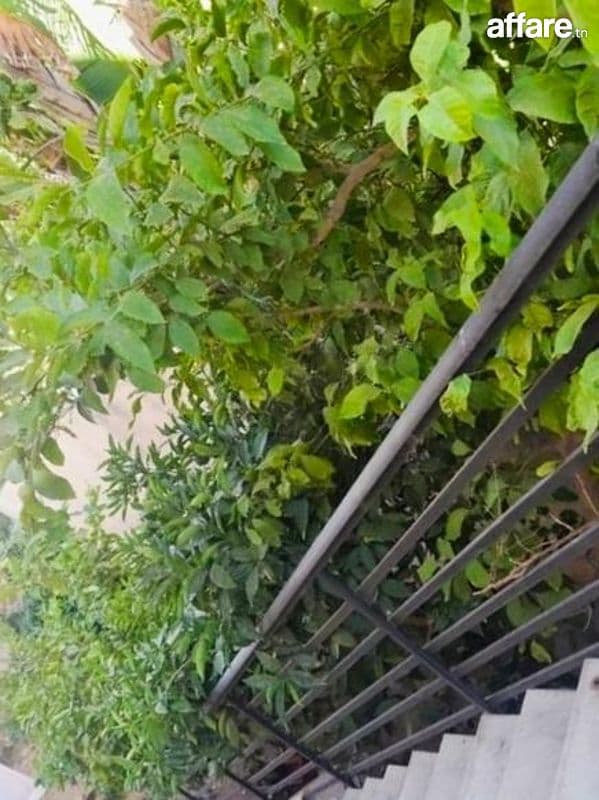 📍Ennasr 𝟐 ; à louer Etage de Villa 𝐒+3 avec terrasse 