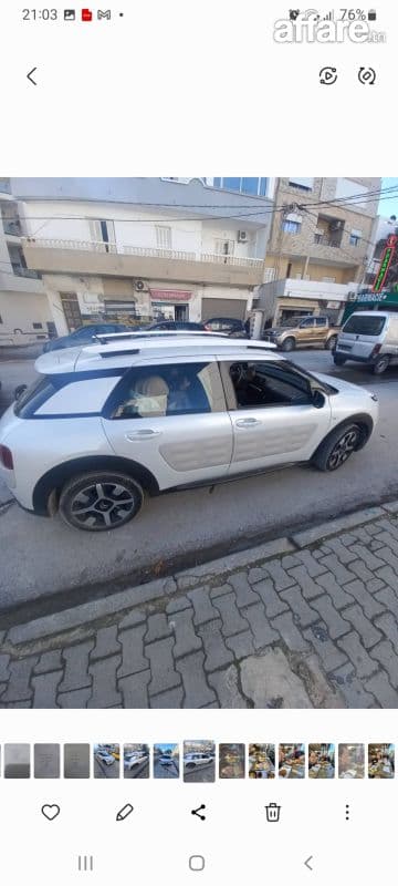 C4 cactus en très bon état à vendre