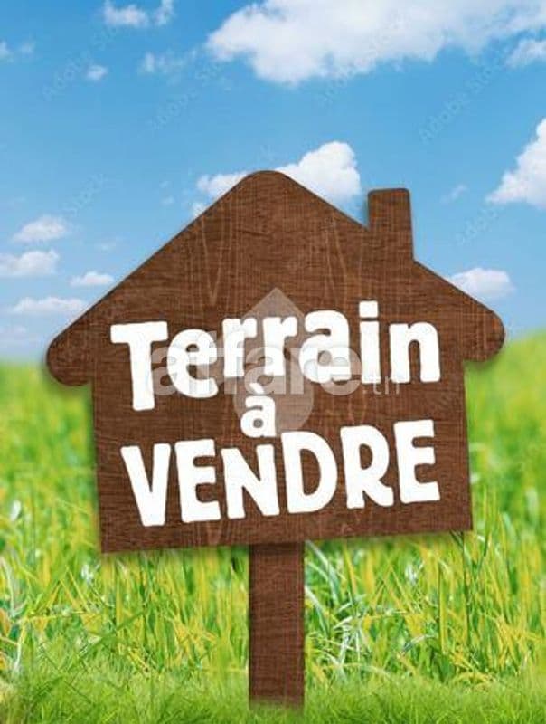 Terrain a partir de 1000 mètres carré
