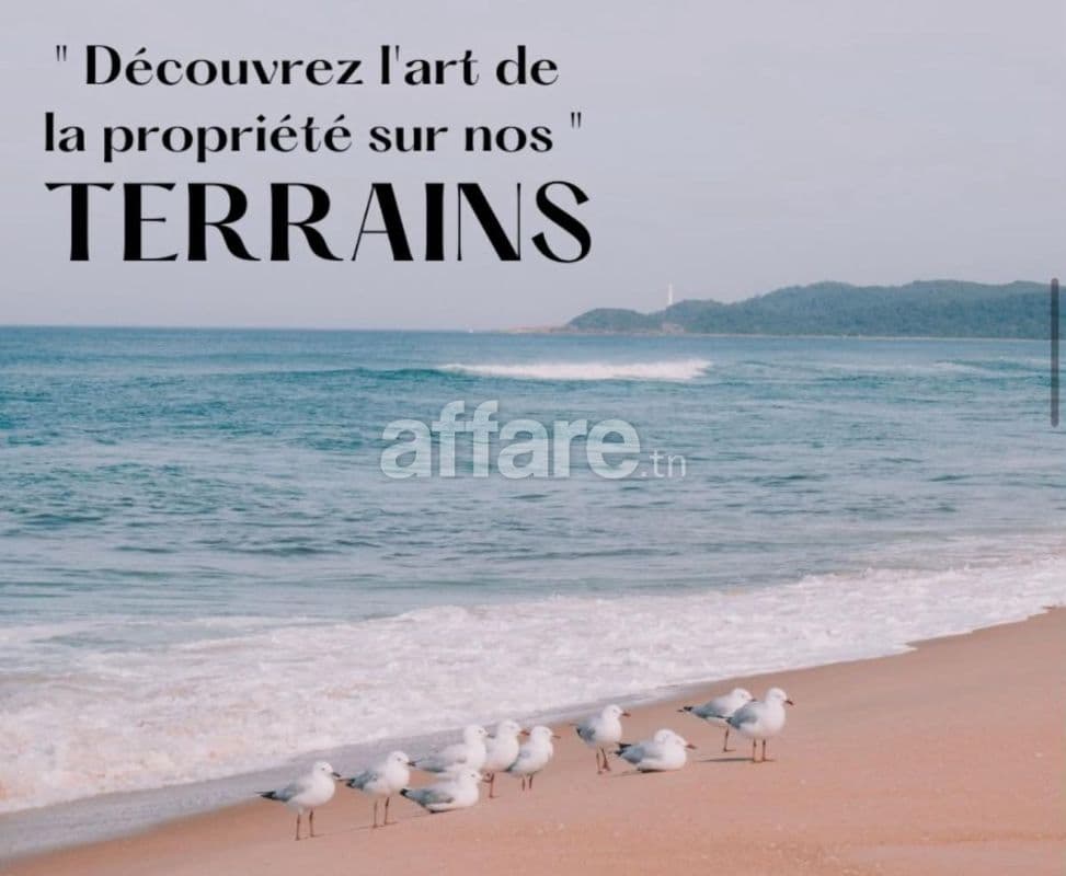 Une belle opportunité a saisir