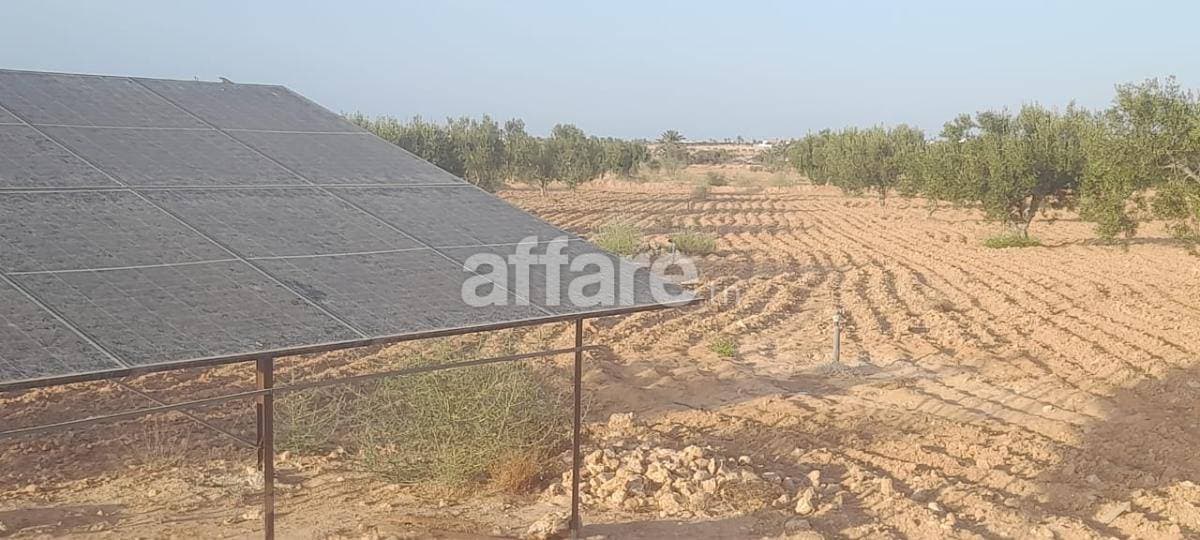 Terrain à vendre á mellita djerba