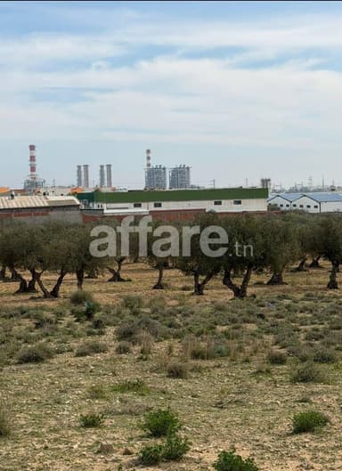 Vente terrain constructible Sousse 30 000 m²