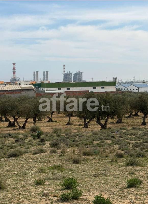 Vente terrain constructible Sousse 30 000 m²