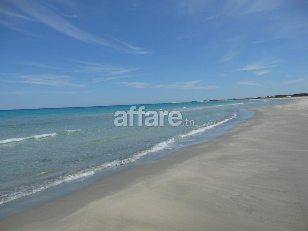 Terrain a saisir 1000 m2 coté hamém elghzéz et kelibia