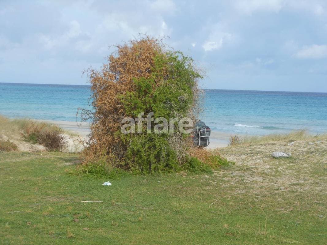 Terrain d un hectare cap bon