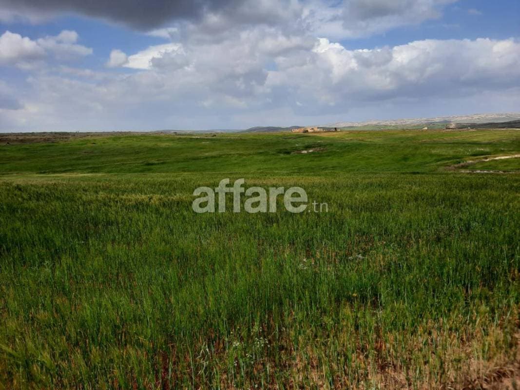 12 hectares Vente Terrain agricole Opportunité d Affaire