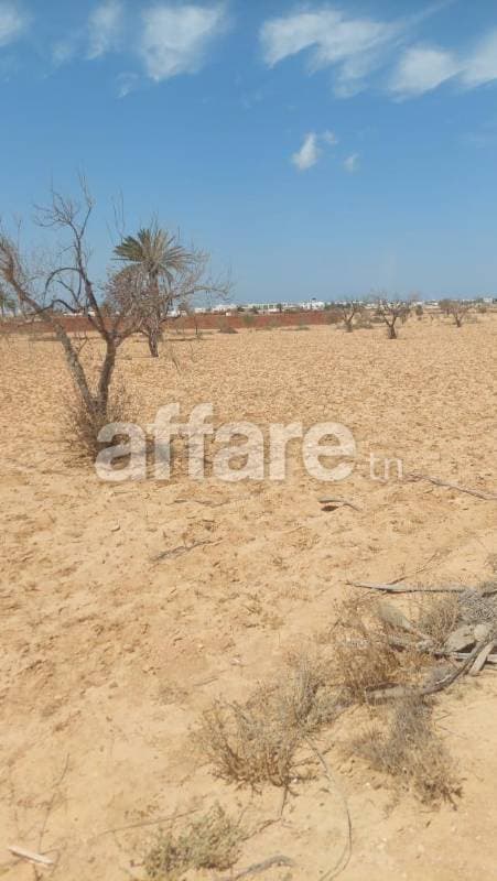 À vendre Terrain agricole à Mellita Djerba