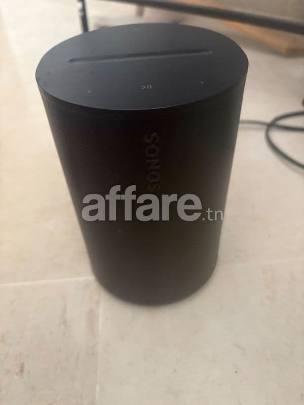 Sonos Era 100