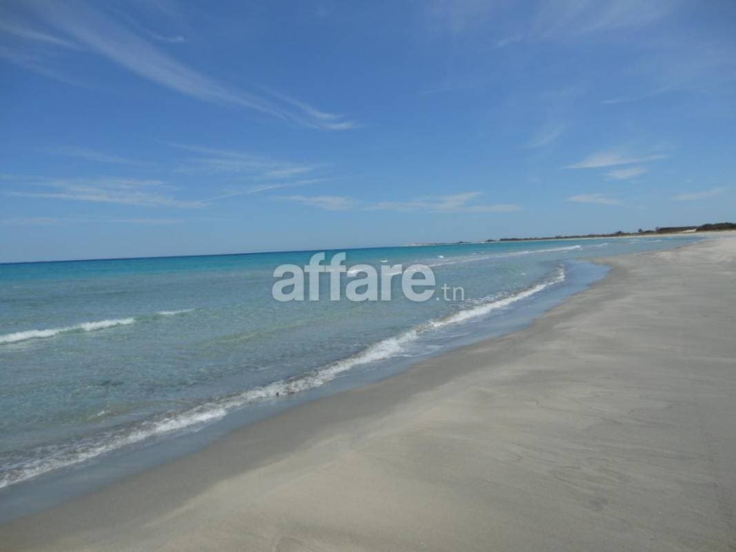 5 ha a partager a 200 m a la plage