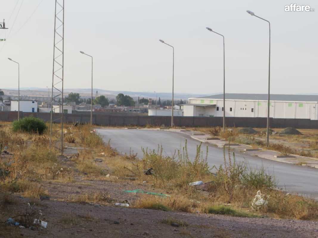 3 hectares nu a 36 km de Tunis