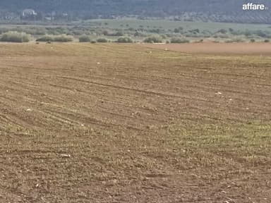2 hectares nu a 36 km de Tunis