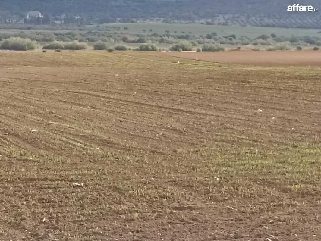 2 hectares nu a 36 km de Tunis