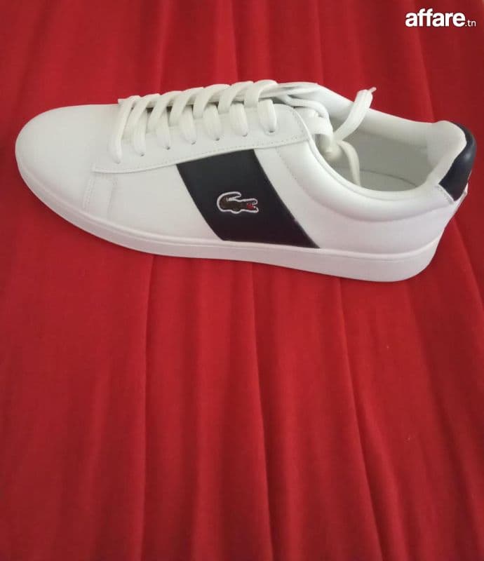 Lacoste men's sneakers