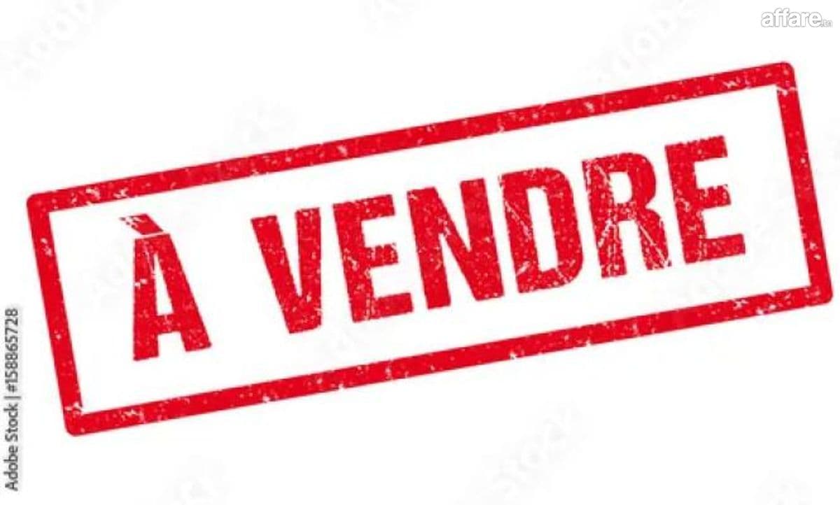 A vendre un immeuble R+3 à Ezzahra 