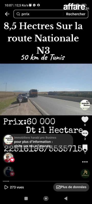 8.5 hectares Idéal pour agricole et commerces et services