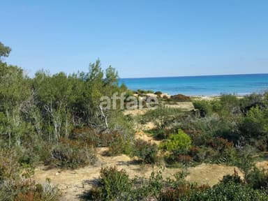 Terrain de 5 ha a 200 mètres de la plage