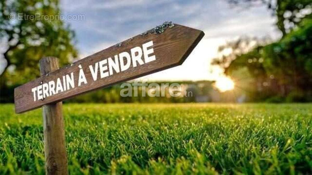 OFFRE IMMOBILIER