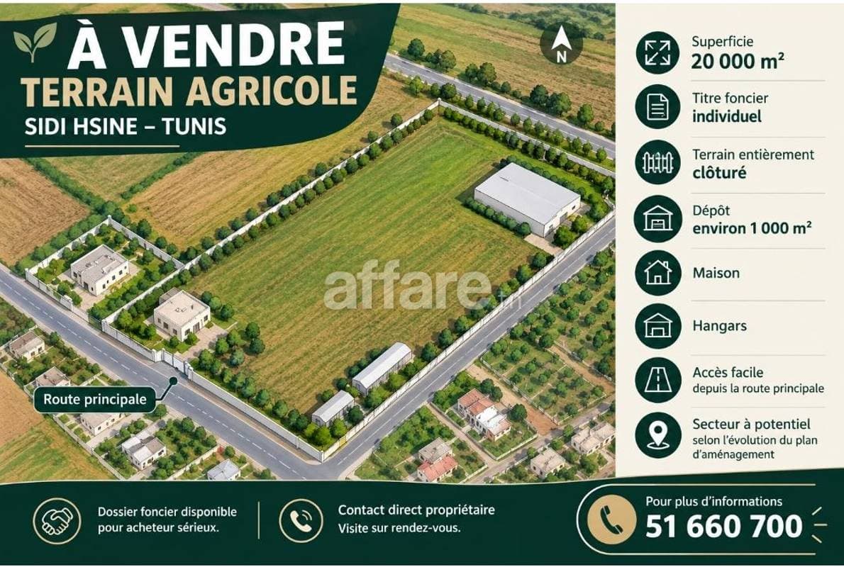 Terraina sidi hsine