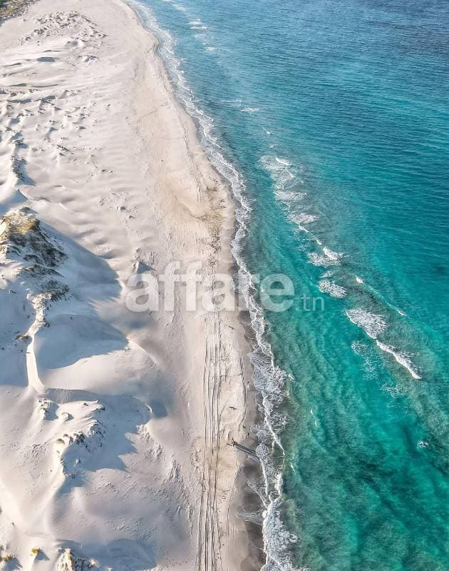 Offre de 10 000 m2 au bord de la mer
