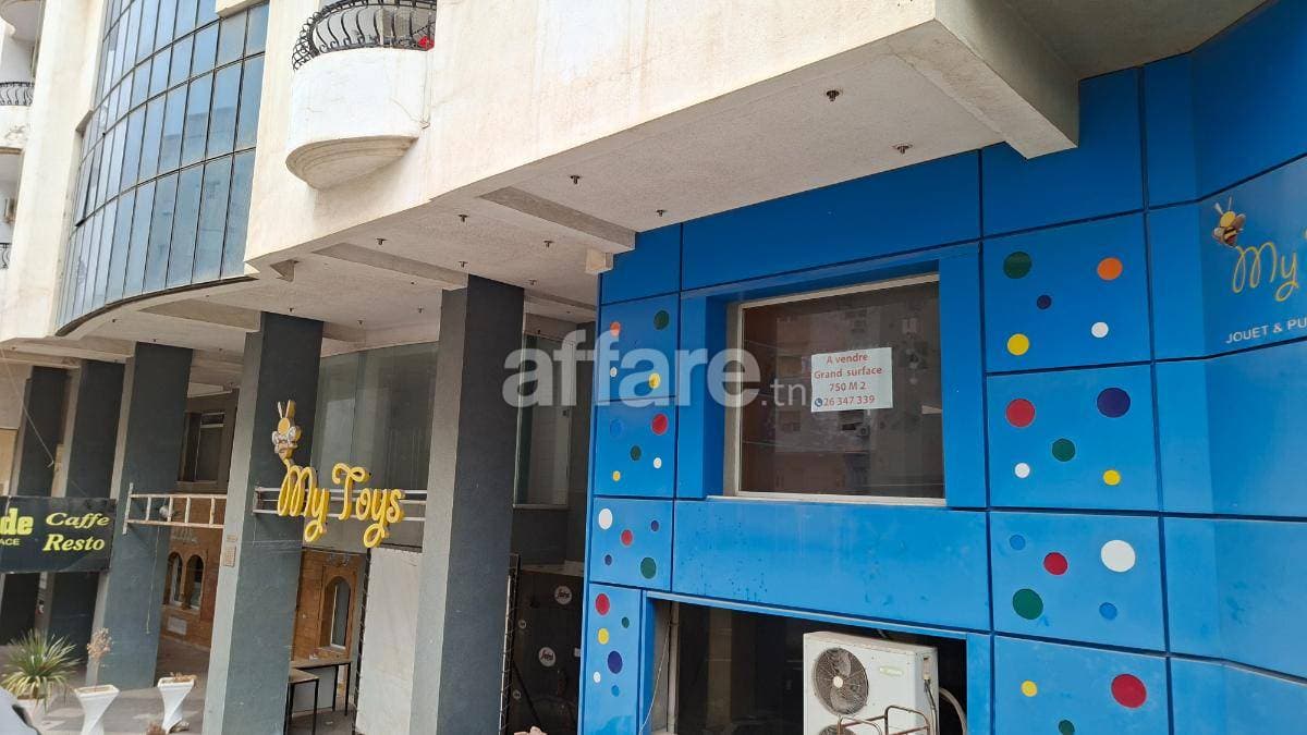 Grand Espace Commercial 750 m2 - Av Hédi Nouira Ennasr 2