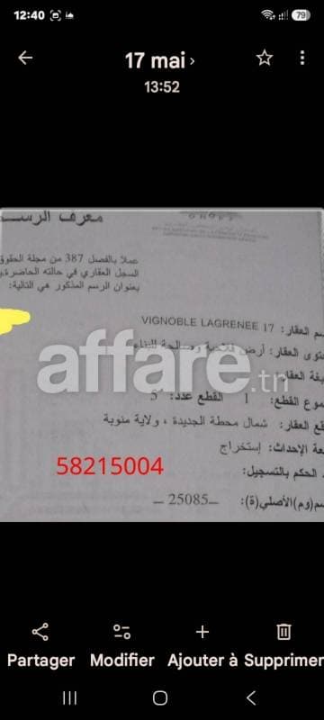 للبيع منابات على الشياع. 