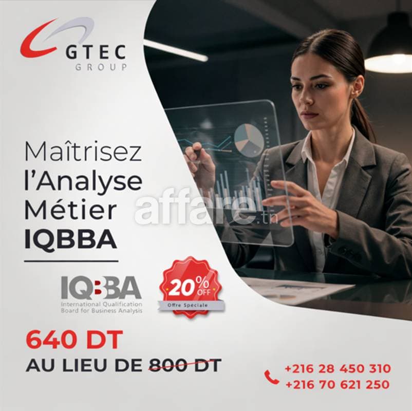 Formation Business Analyst IQBBA