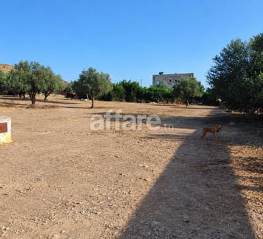 أرض للبيع في الجديدة ولاية منوبة