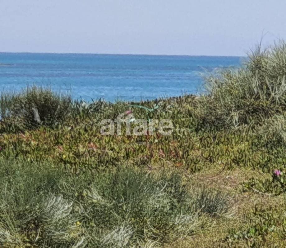 A vendre terrain 840m² pied dans l eau à Jinene Beni Khiar
