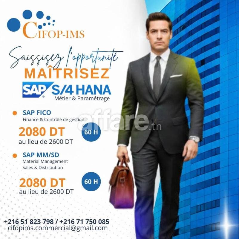 Formation SAP S 4HANA