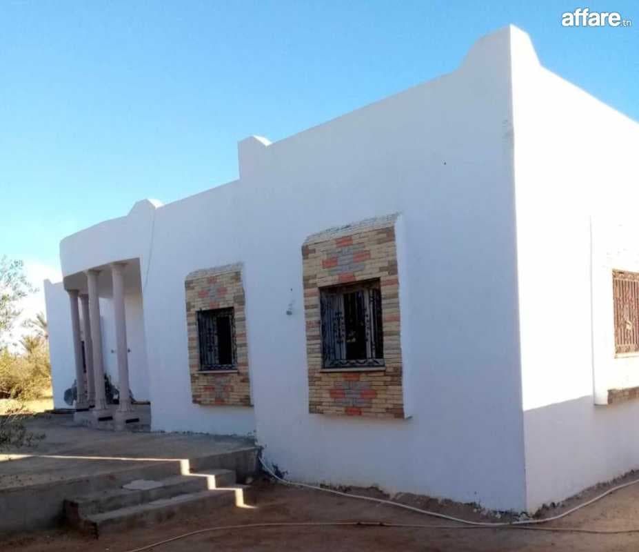 Villa et houch arbi sur un terrain 5000 m à Djerba ERRIADH 