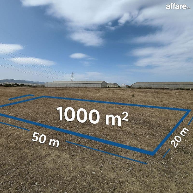 Terrain agricole 1000m² titré à Grombalia – El Fondok Jedid