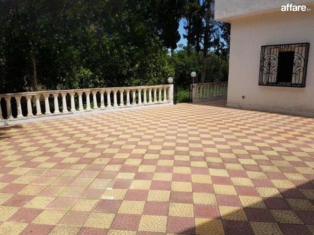 Maison de campagne 5000 m²  Ras jebel