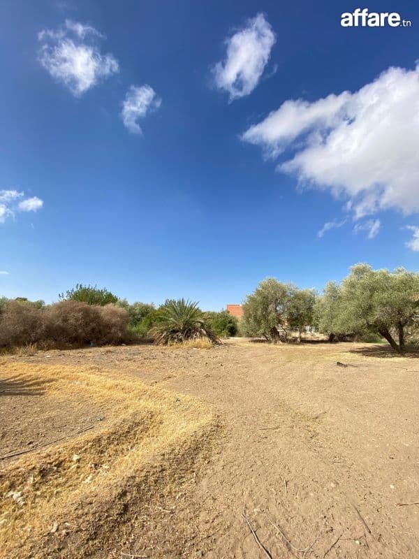 Terrain constructible a vendre gafsa