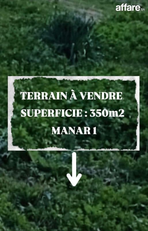 MANAR 1: TERRAIN VIABILISÉ À VENDRE TITRÉ 