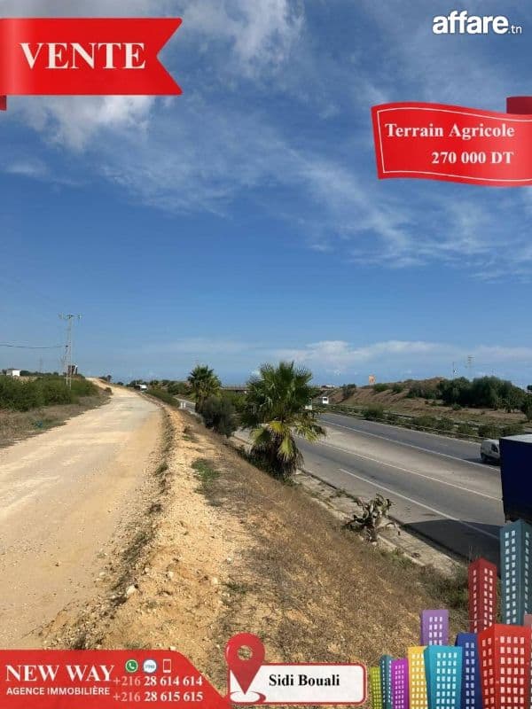  Terrain Agricole à Sidi Bouali près de l'autoroute et GP1 