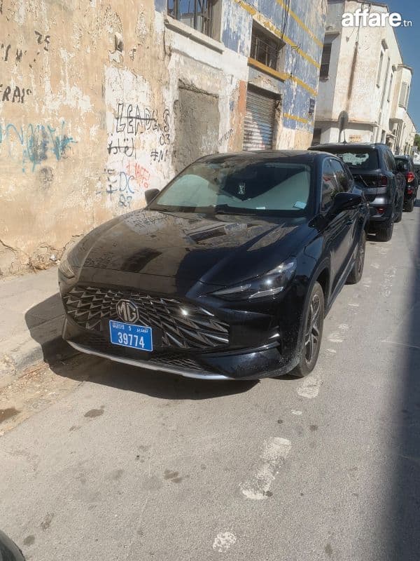Mg One