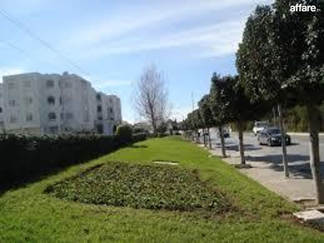 Location locaux commerciaux sur avenue