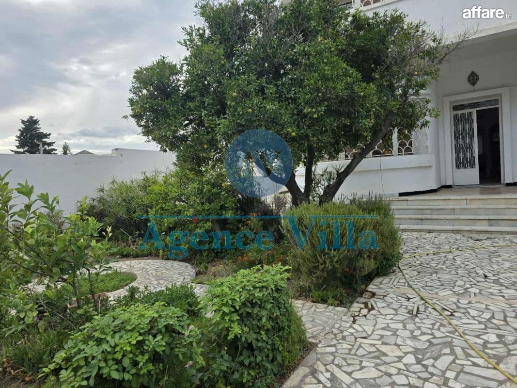 villa à la marsa ville