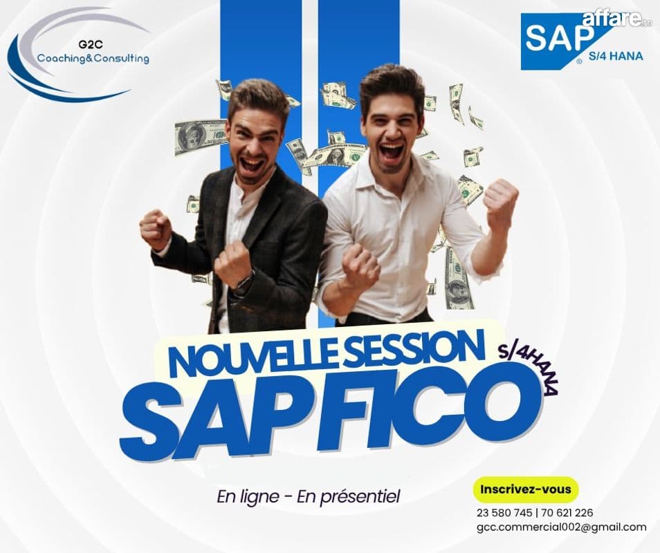 Formation SAP S/4HANA FICO 