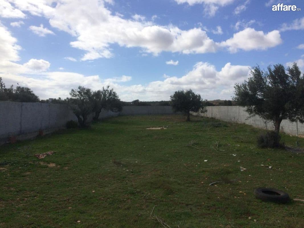 A vendre un terrain à sidi Hamed Hammamet  