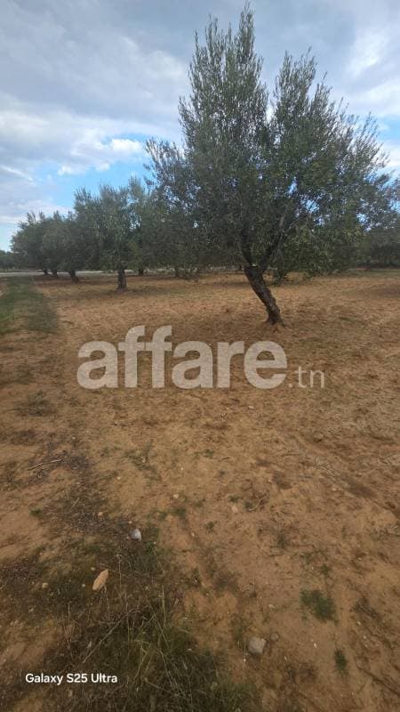 Terrain a vendre 1000 m² a foukaia sur la route principal