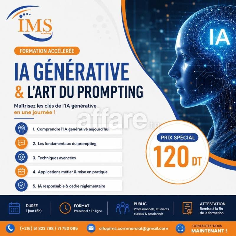 Formation IA