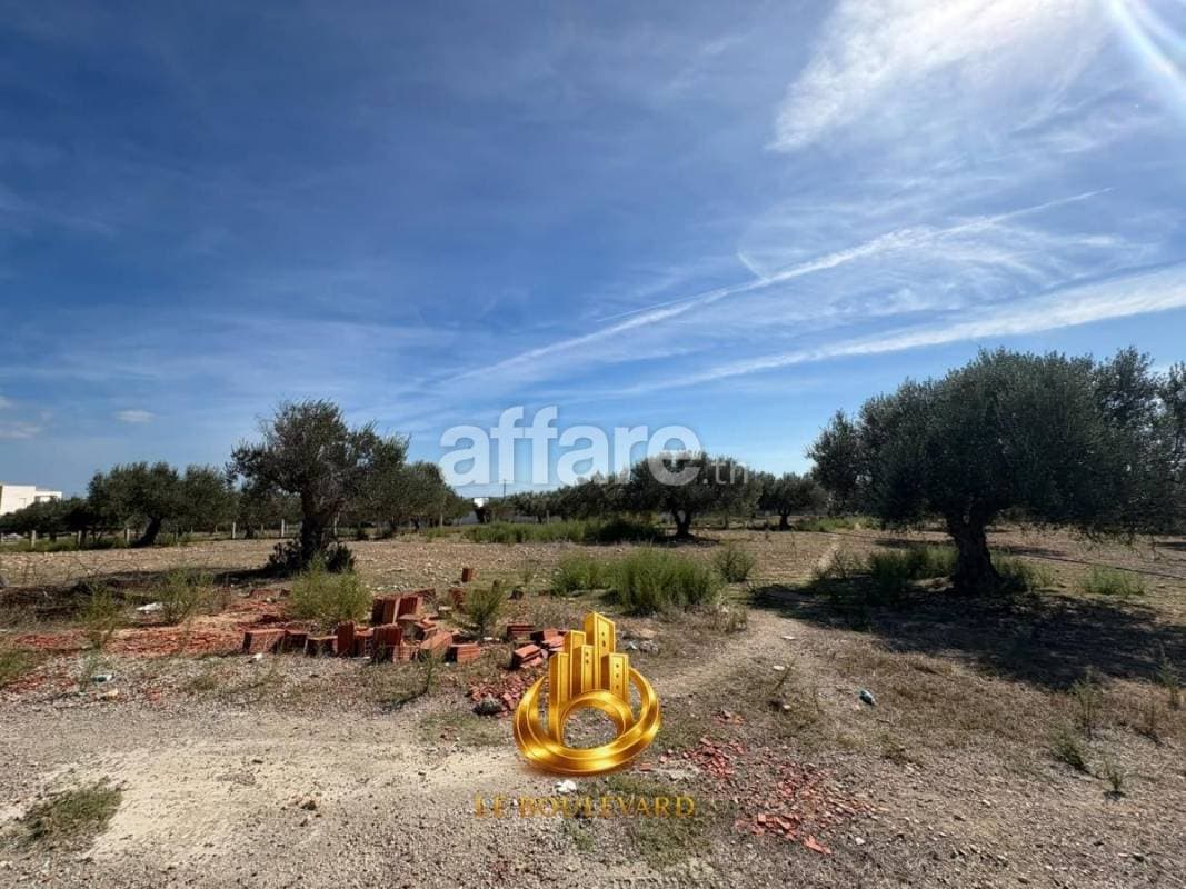 A Vendre Terrain 1000m² Vue Sur Mer à Besbassia Hammamet Sud